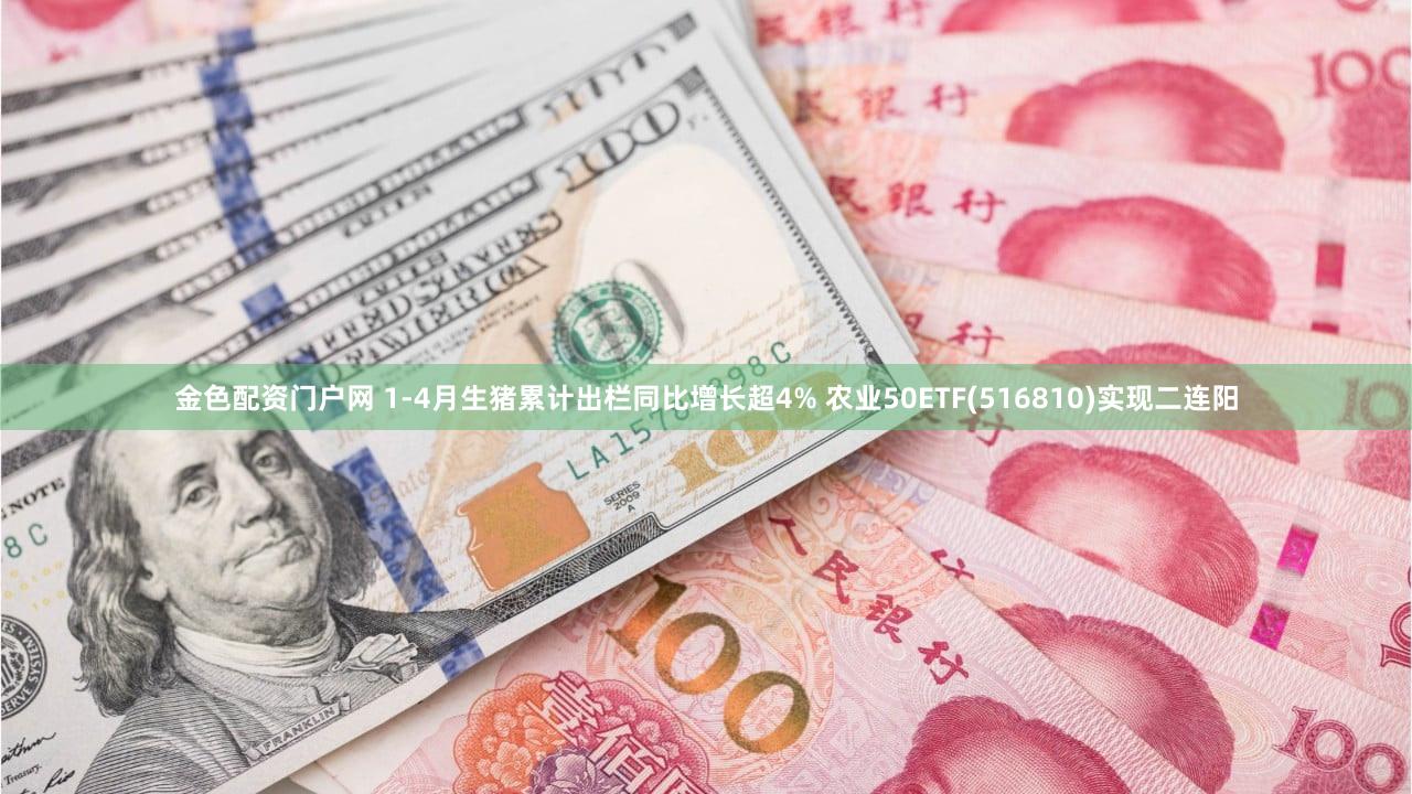 金色配资门户网 1-4月生猪累计出栏同比增长超4% 农业50ETF(516810)实现二连阳