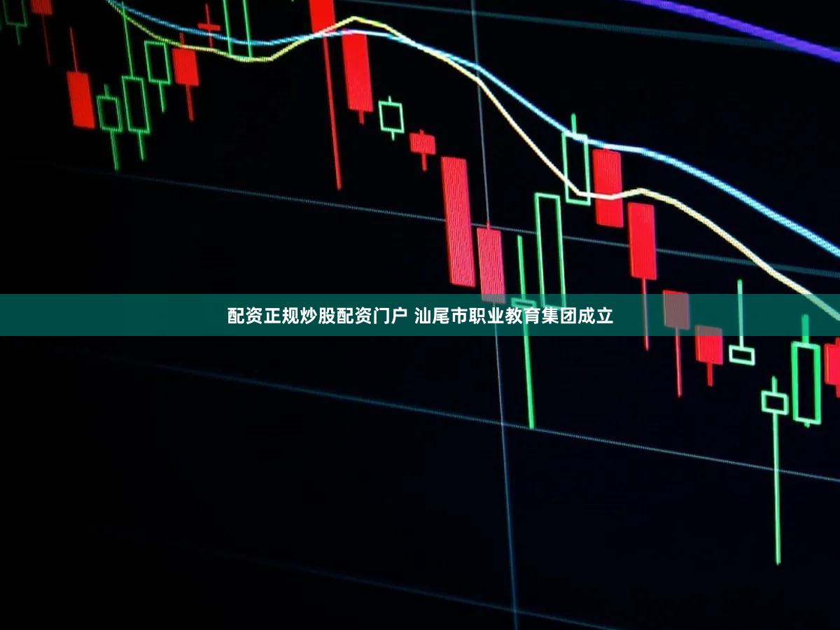 配资正规炒股配资门户 汕尾市职业教育集团成立