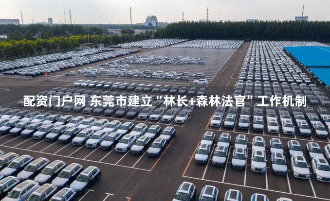 配资门户网 东莞市建立“林长+森林法官”工作机制