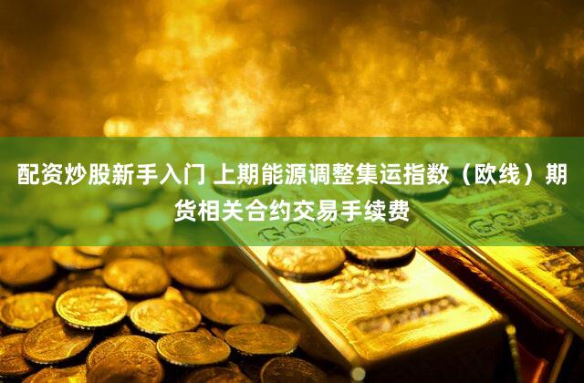 配资炒股新手入门 上期能源调整集运指数（欧线）期货相关合约交易手续费
