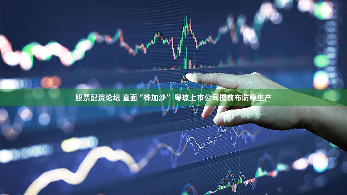 股票配资论坛 直面“桦加沙” 粤琼上市公司提前布防稳生产