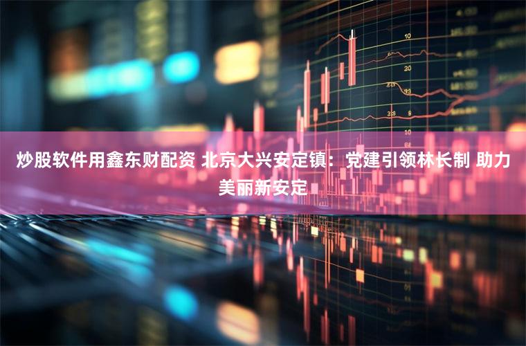 炒股软件用鑫东财配资 北京大兴安定镇：党建引领林长制 助力美丽新安定