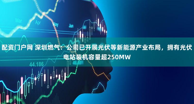 配资门户网 深圳燃气:公司已开展光伏等新能源产业布局,拥有光伏电站装机容量超250MW