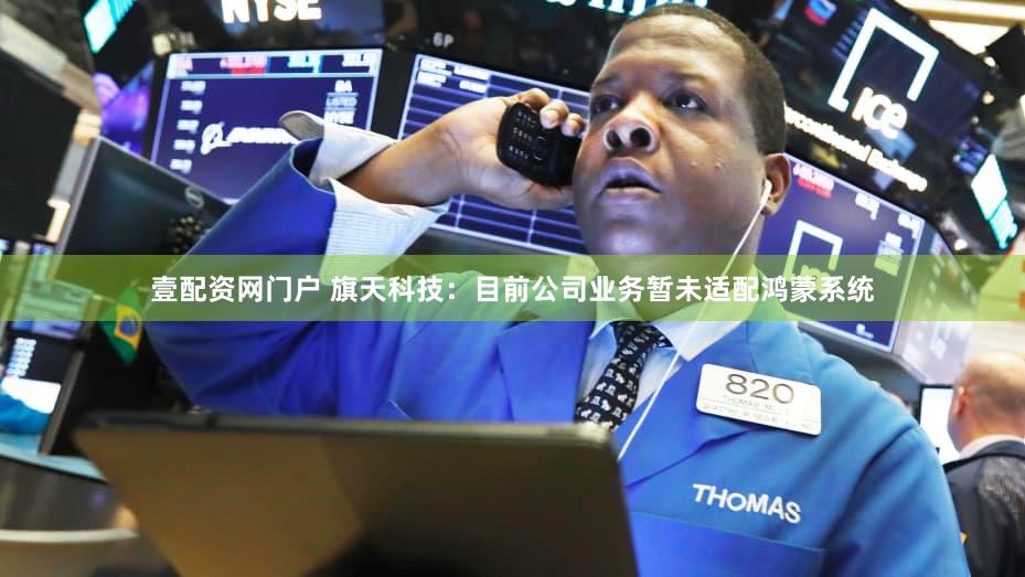 壹配资网门户 旗天科技：目前公司业务暂未适配鸿蒙系统