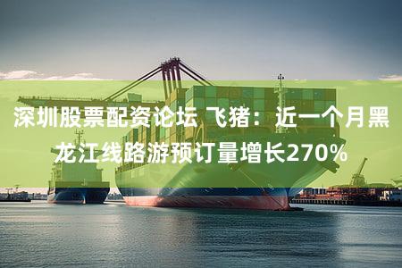 深圳股票配资论坛 飞猪：近一个月黑龙江线路游预订量增长270%