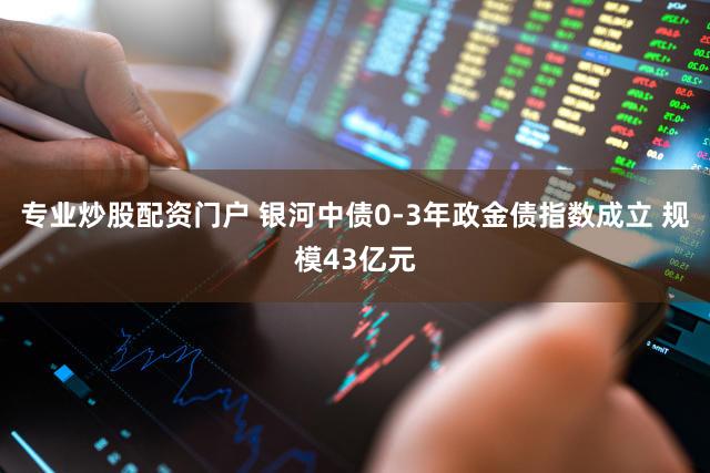 专业炒股配资门户 银河中债0-3年政金债指数成立 规模43亿元