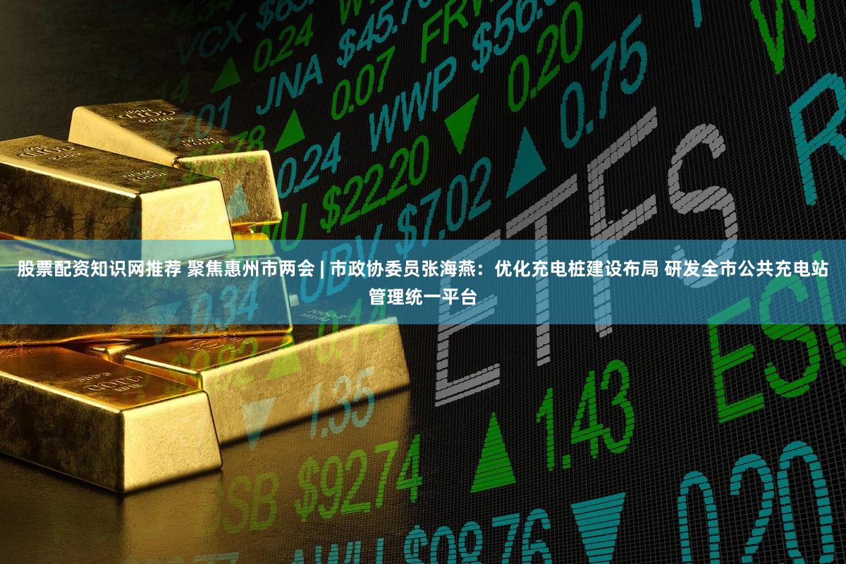 股票配资知识网推荐 聚焦惠州市两会 | 市政协委员张海燕：优化充电桩建设布局 研发全市公共充电站管理统一平台