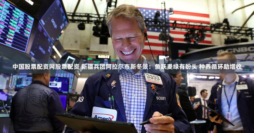 中国股票配资网股票配资 新疆兵团阿拉尔市新冬景：鱼跃麦绿有盼头 种养循环助增收