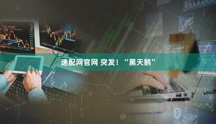 速配网官网 突发！“黑天鹅”