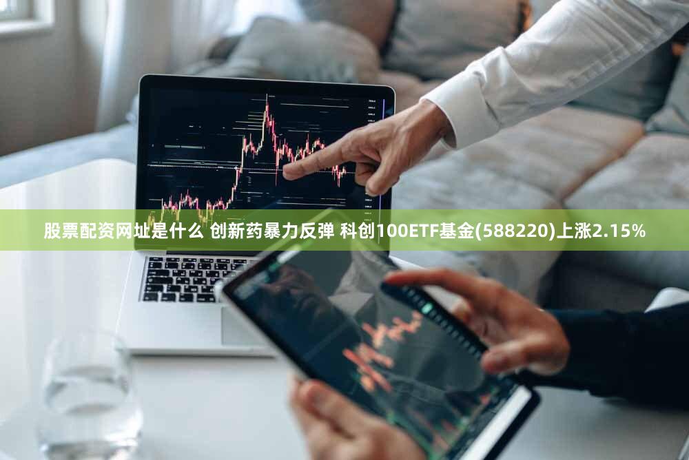 股票配资网址是什么 创新药暴力反弹 科创100ETF基金(588220)上涨2.15%