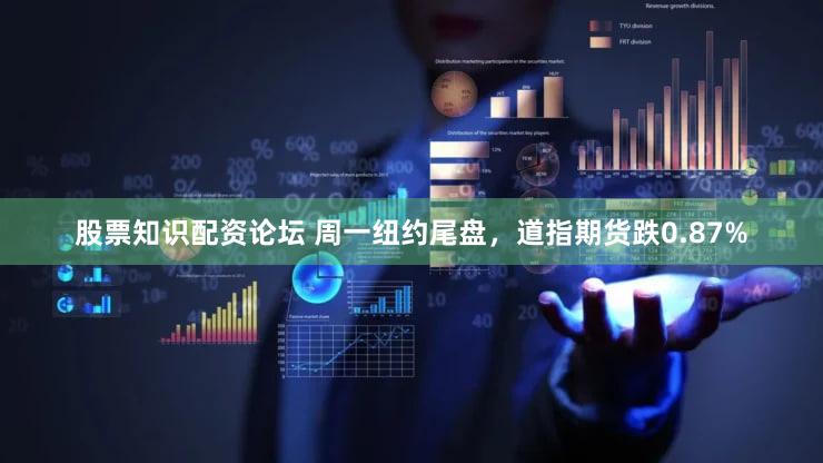股票知识配资论坛 周一纽约尾盘，道指期货跌0.87%