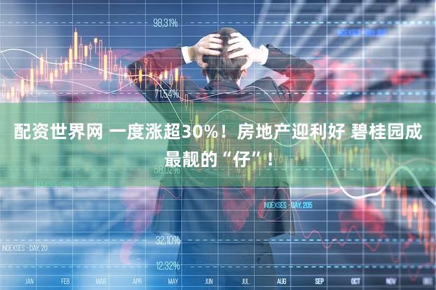 配资世界网 一度涨超30%!房地产迎利好 碧桂园成最靓的“仔”!