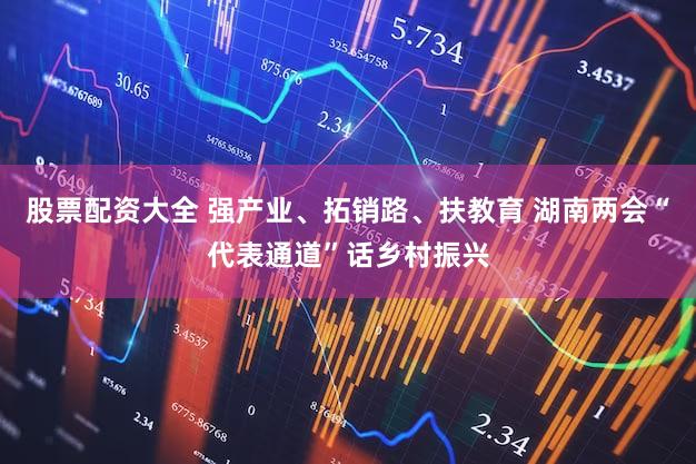 股票配资大全 强产业、拓销路、扶教育 湖南两会“代表通道”话乡村振兴